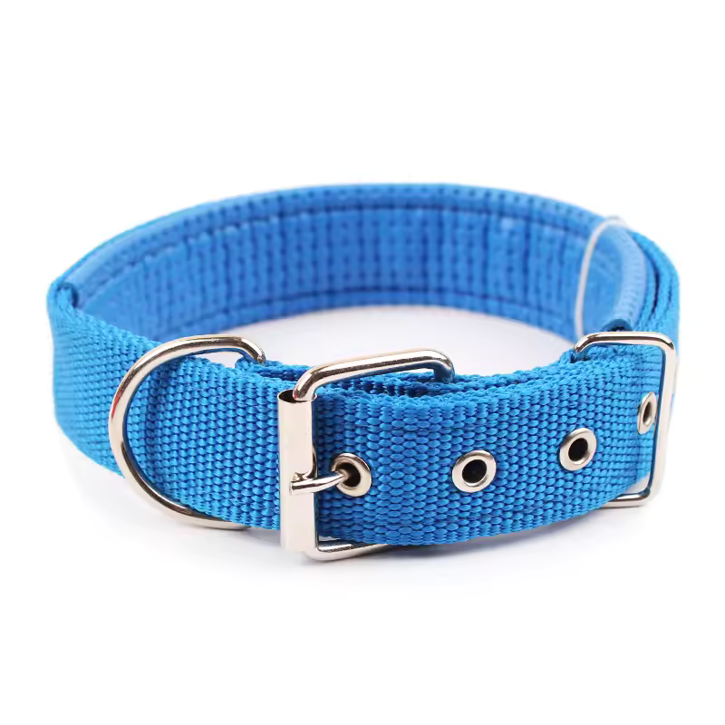 Classic Nylon Dog Collar