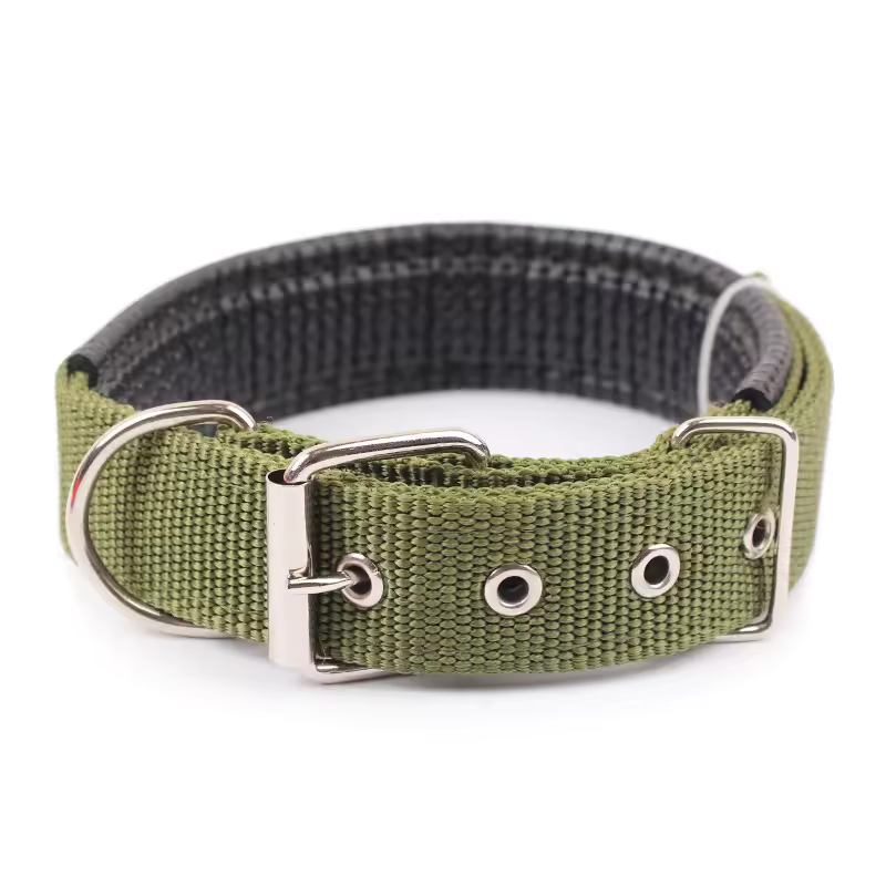 Classic Nylon Dog Collar