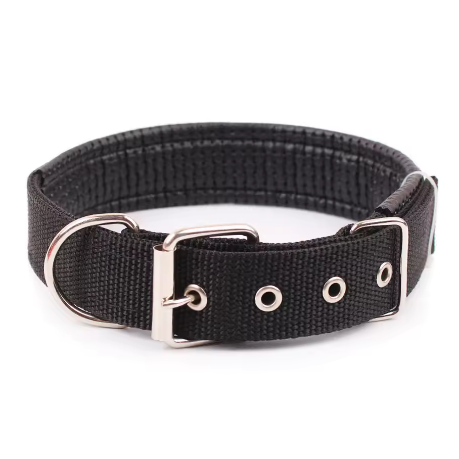 Classic Nylon Dog Collar
