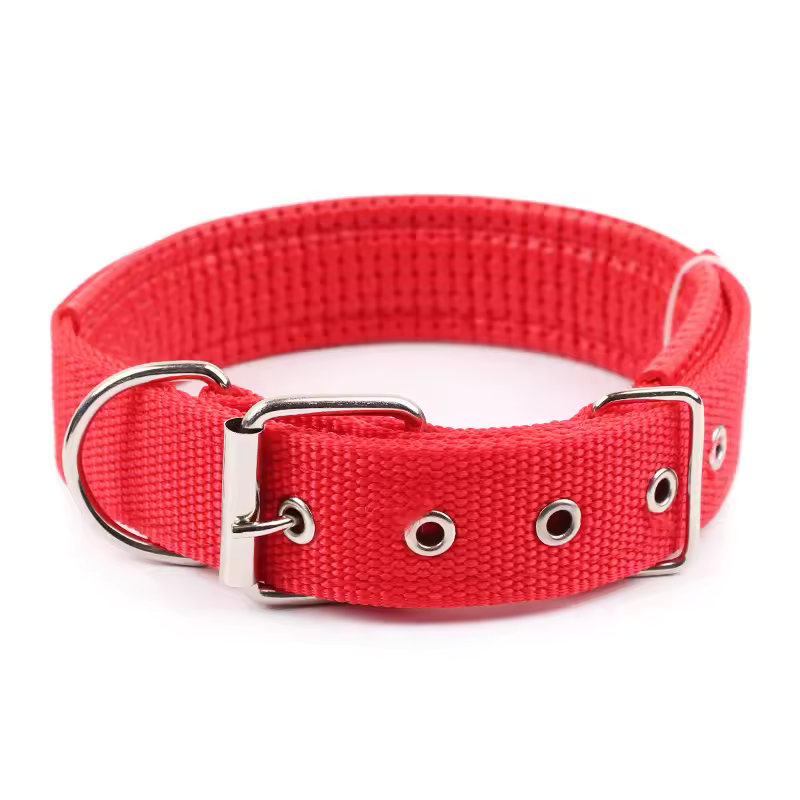 Classic Nylon Dog Collar