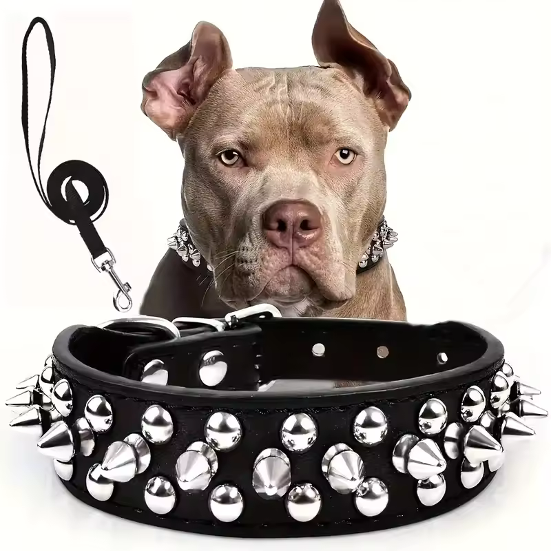 Spiked Leather Dog Collar