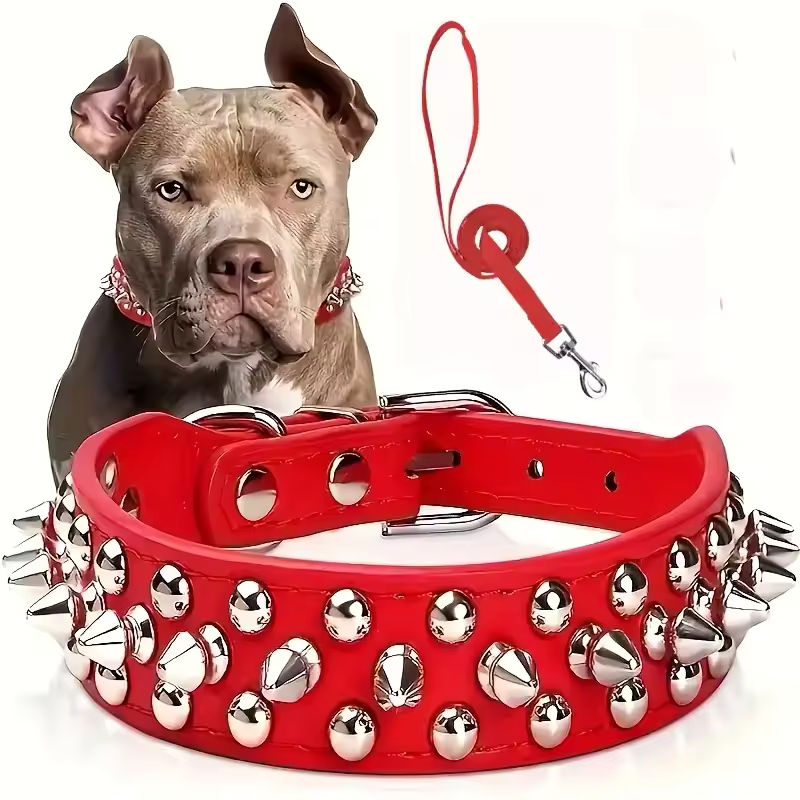 Spiked Leather Dog Collar