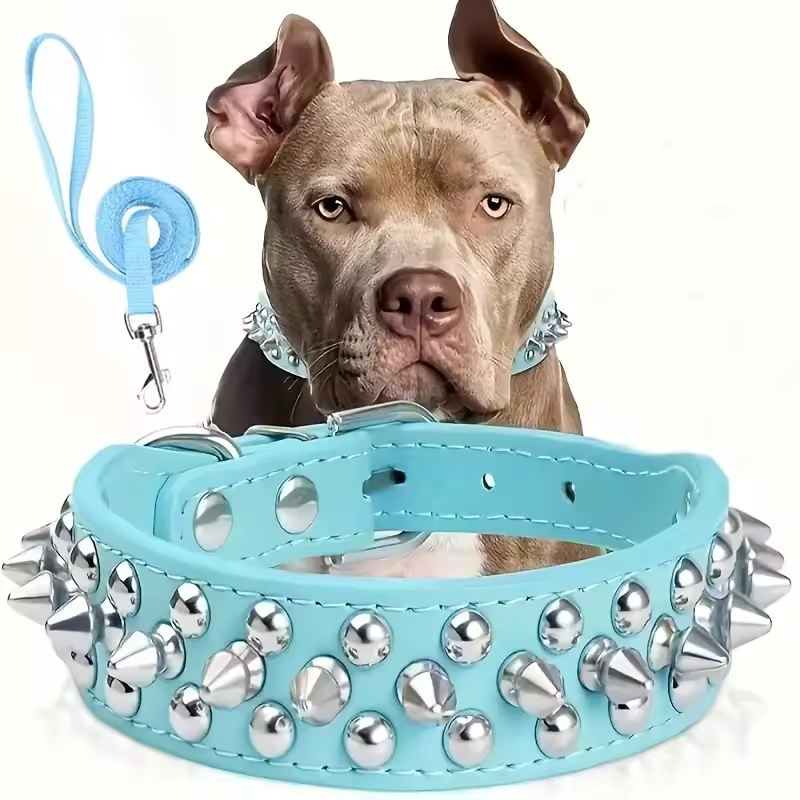 Spiked Leather Dog Collar