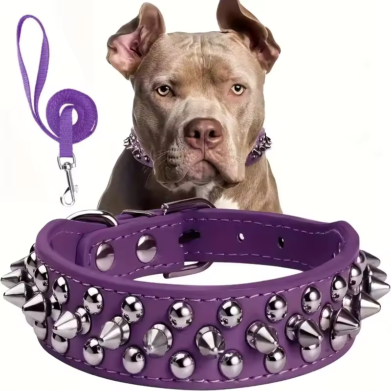 Spiked Leather Dog Collar