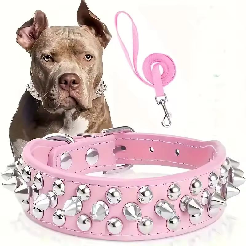 Spiked Leather Dog Collar
