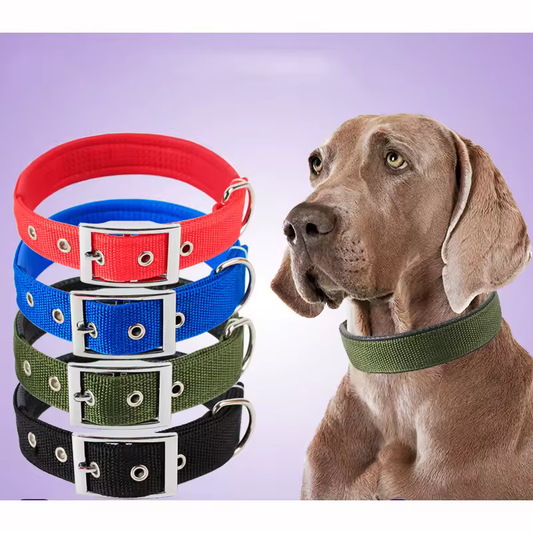 Classic Nylon Dog Collar
