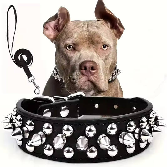 Spiked Leather Dog Collar